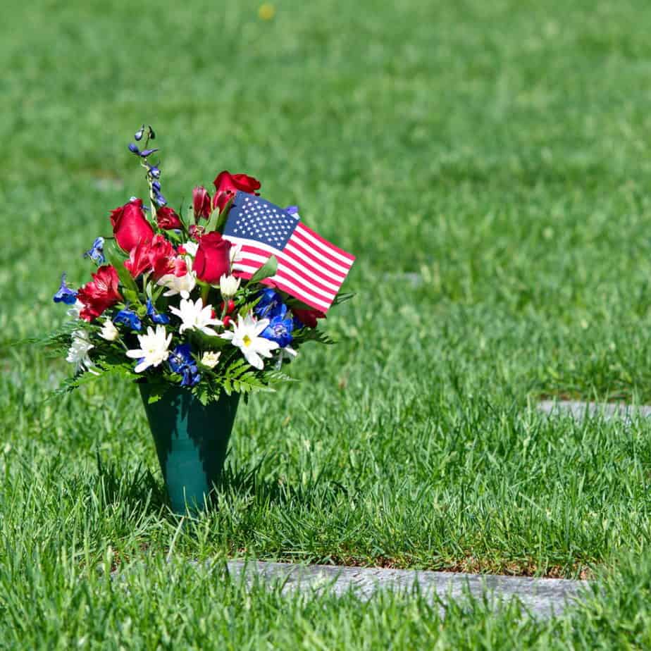 Cemetery Cone Flowers