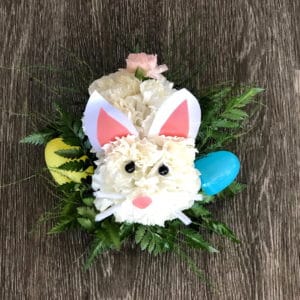 Carnation Bunny