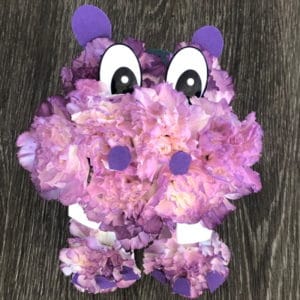 Carnation Hippo