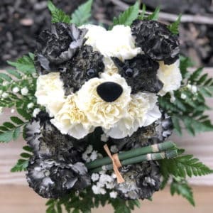 Carnation Panda