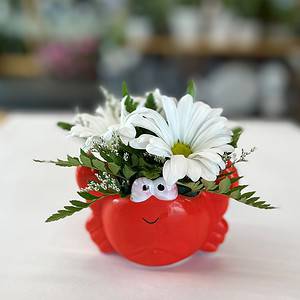 Crab Flower Kit