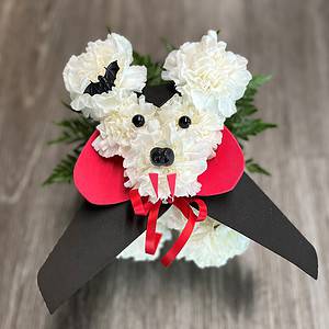 Count Dracula Dog