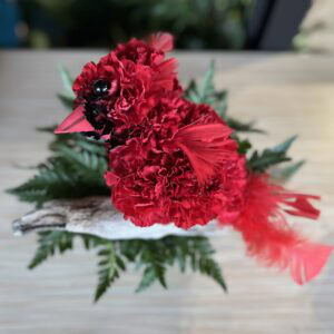 Carnation Cardinal