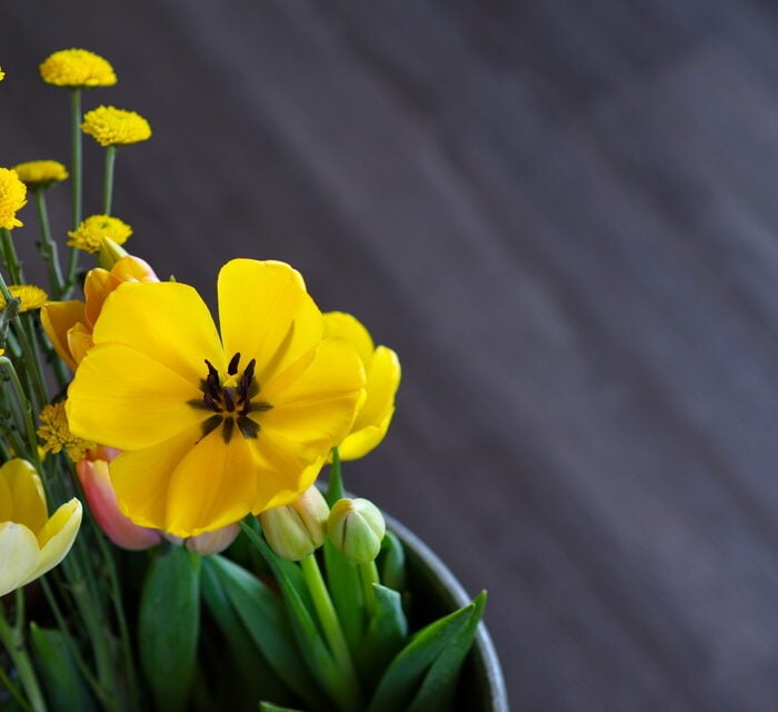 Cut flowers in a bucket